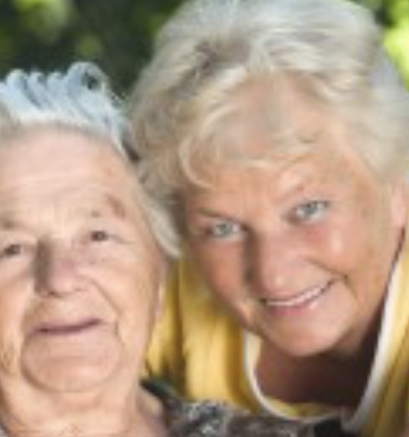 Pavia per senior: attività, salute e benessere