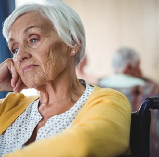 Pavia: attività culturali adatte ai senior