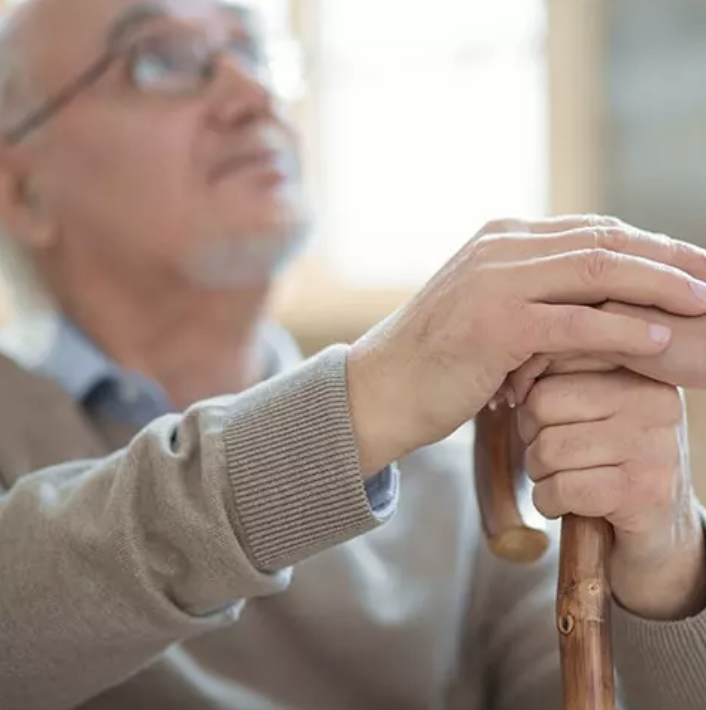 La vita dei senior a Novara: consigli e risorse locali